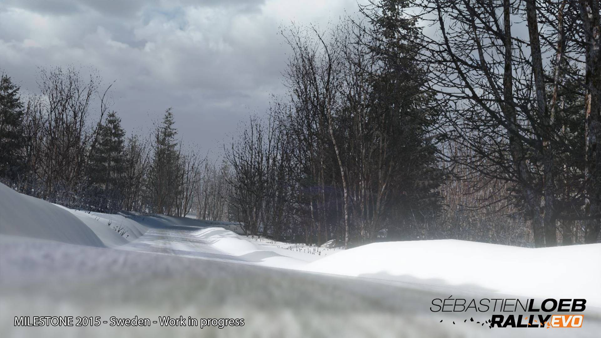 Zasněžené Švédsko na prvních obrázcích ze Sébastien Loeb Rally Evo 104851