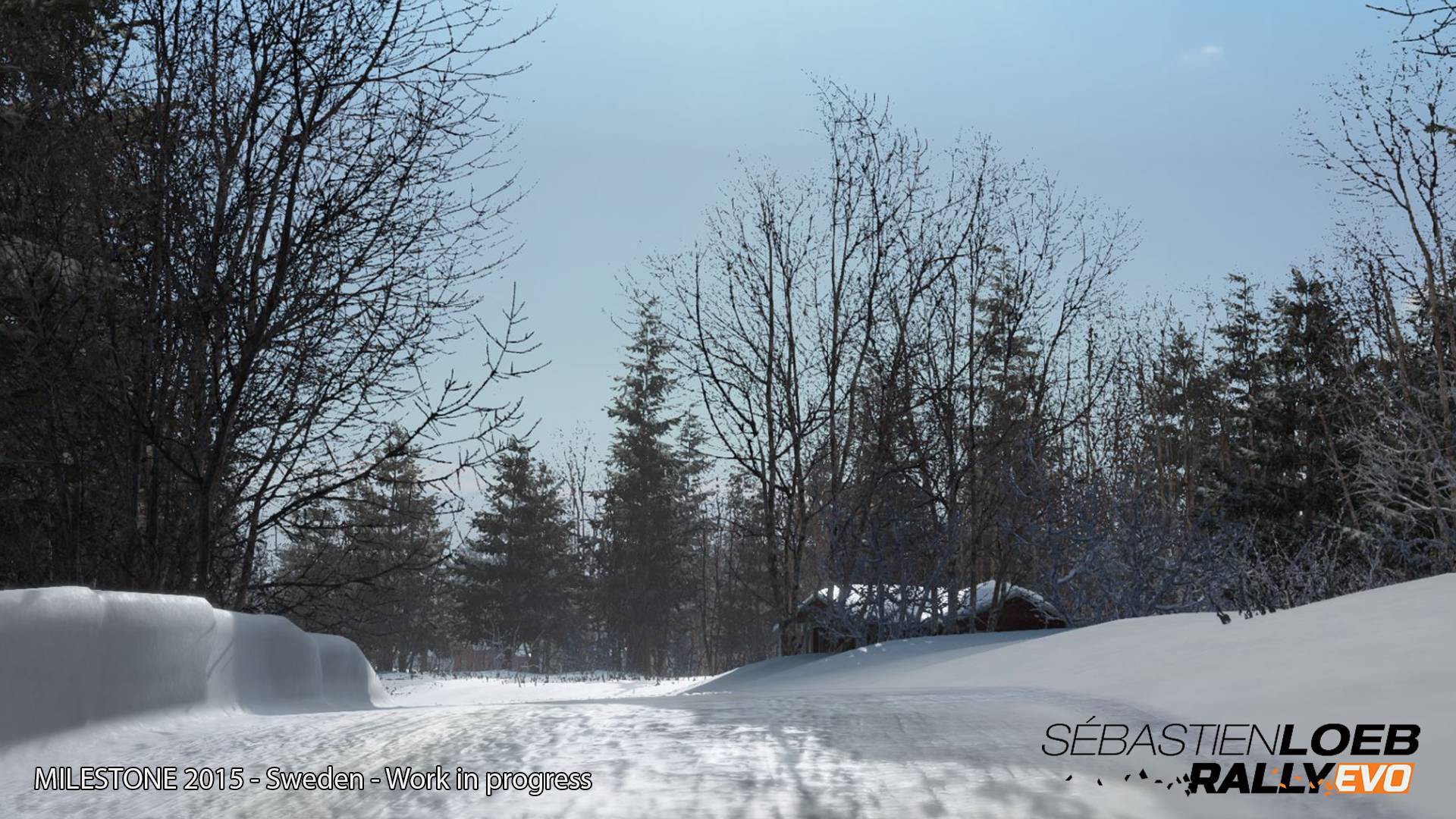 Zasněžené Švédsko na prvních obrázcích ze Sébastien Loeb Rally Evo 104854