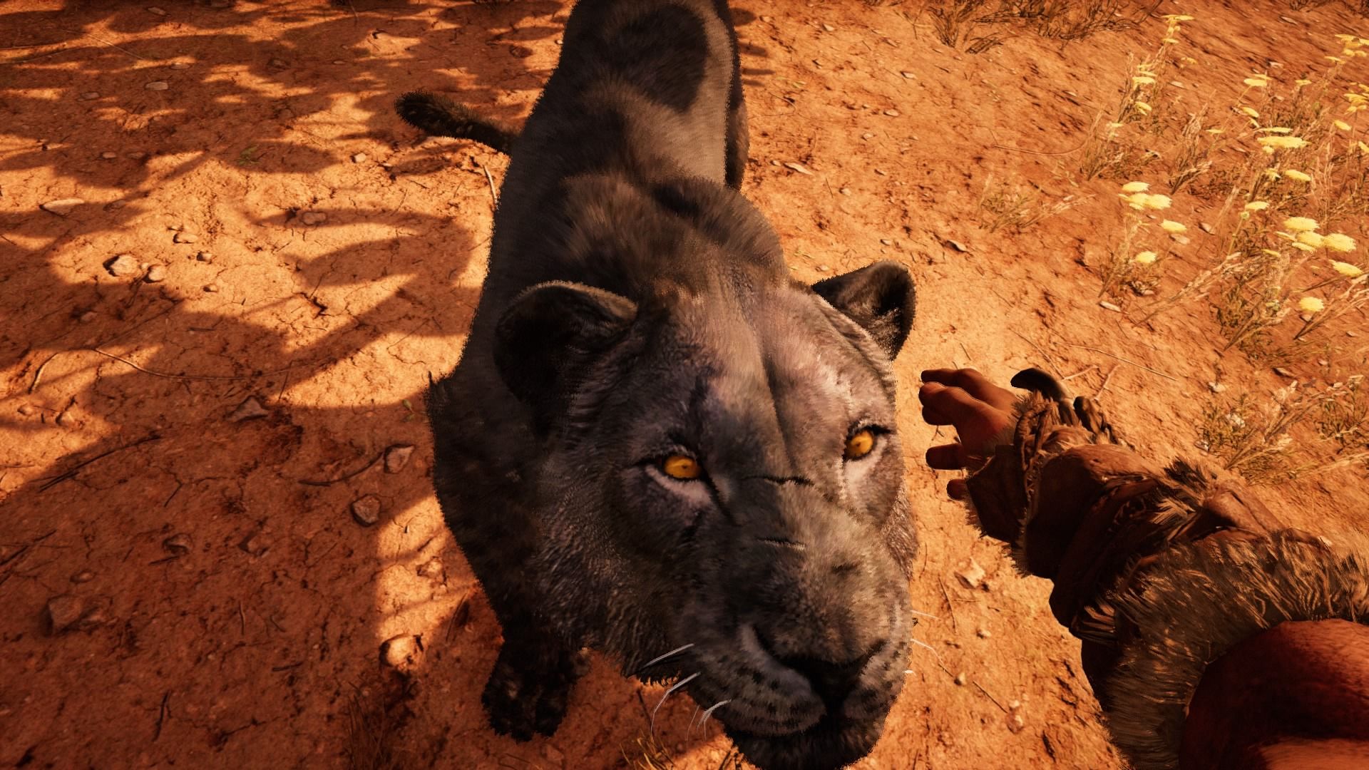 Far Cry Primal - krotitel zvířat 119628