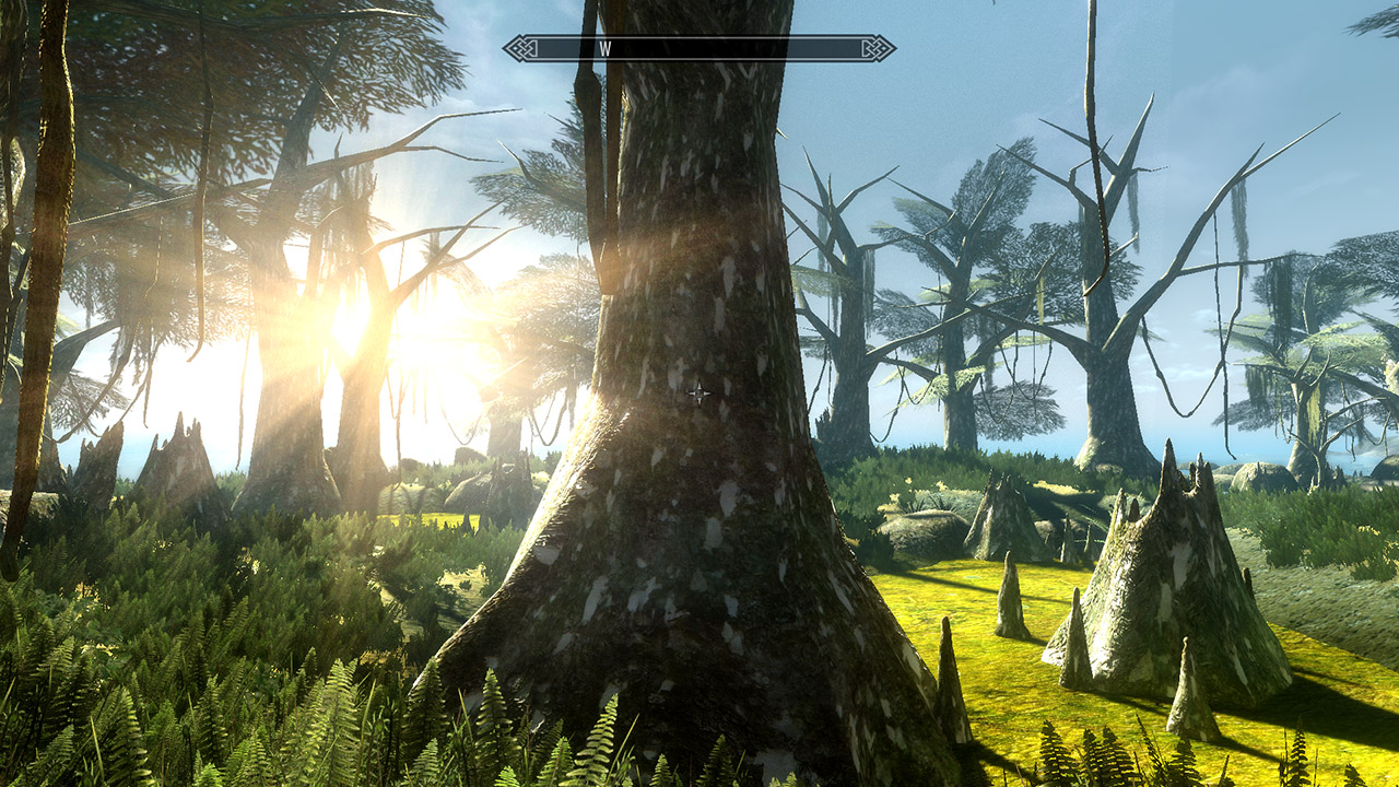 Morrowind poběží na enginu Skyrim 70800