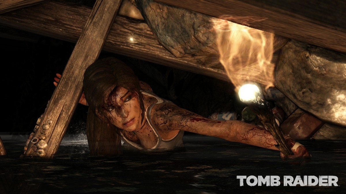 Tomb Raider 44453
