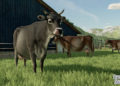 Farming Simulator 22 představuje zvířátka a značku Zetor 2 8