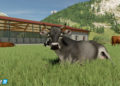 Farming Simulator 22 představuje zvířátka a značku Zetor 6 6