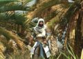 Recenze Assassin's Creed Mirage - omluvný dopis fanouškům starých dílů assassin 6